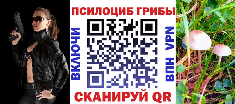 Псилоцибиновые грибы ЛСД Щёлково